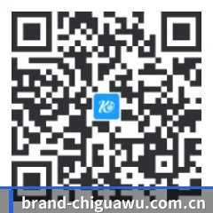 iOS 防封体系版 二维码